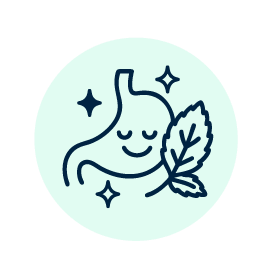 Lemon Balm